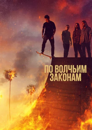 По волчьим законам (2016)