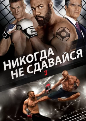 Никогда не сдавайся 3 (2016)