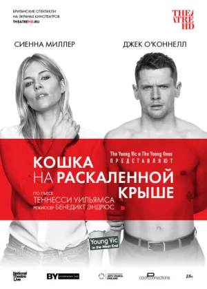 Кошка на раскалённой крыше (2018)