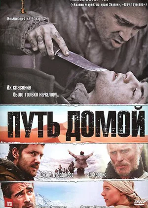 Путь домой (2010)