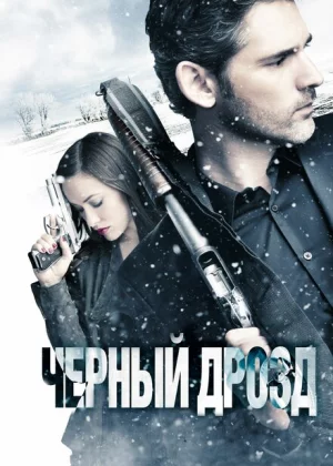 Черный дрозд (2012)